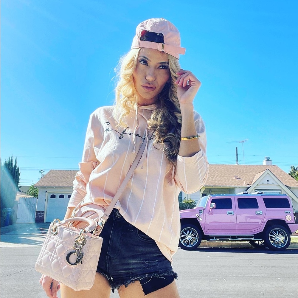 Pin stripe pink san francisco sweater
